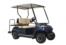 Golfcarts für Personentransport 2, 4, 6, 8 und 11-Sitzer